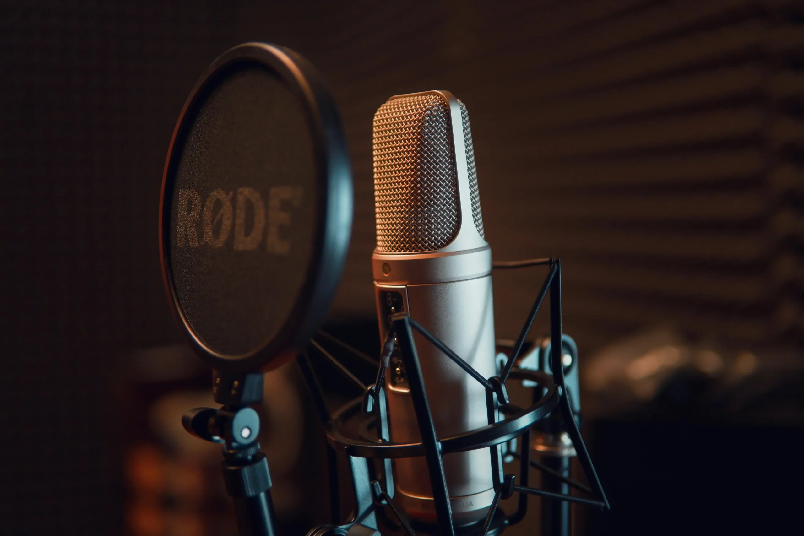 Photo of a studio microphone - Copyright Dmitry Demidov