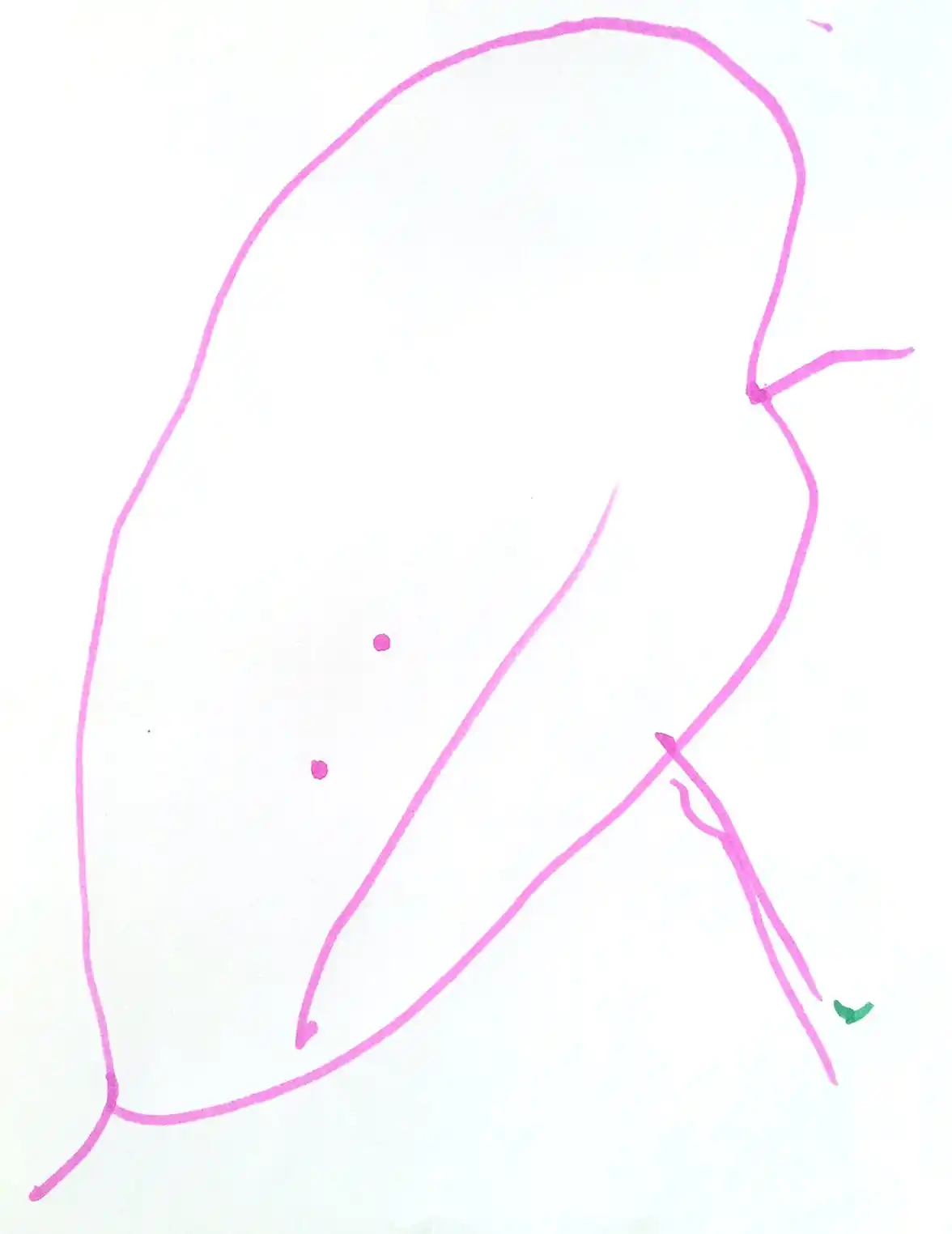 Tekening van een kind van 3 jaar