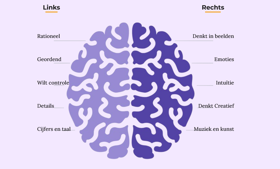 Functies van het li en re brein belangrijk bij het leren tekenen 