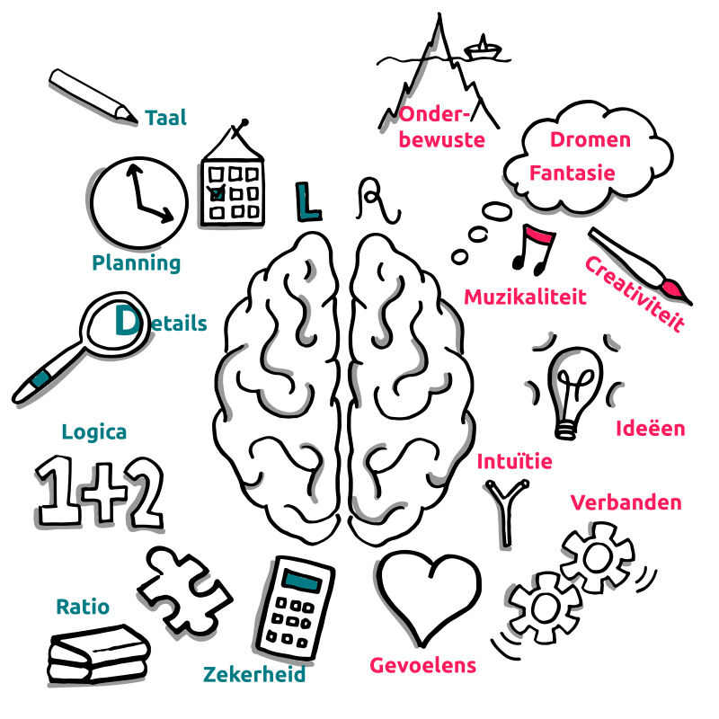 Visueel denken: linkerbrein vs rechterbrein